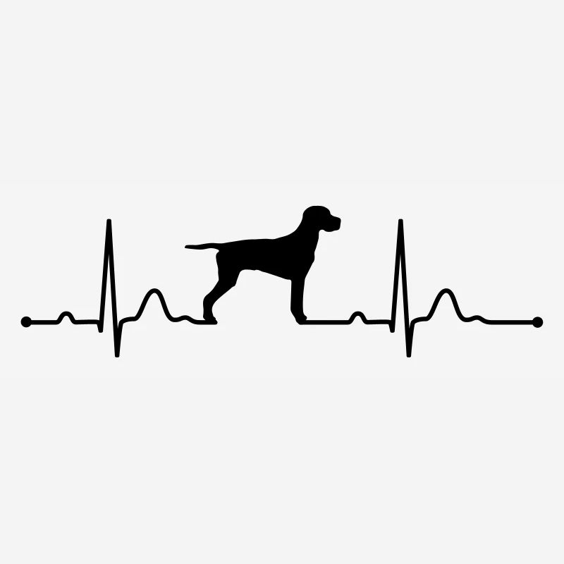 DEUTSCH KURZHAAR - GERMAN SHORTHAIRED POINTER