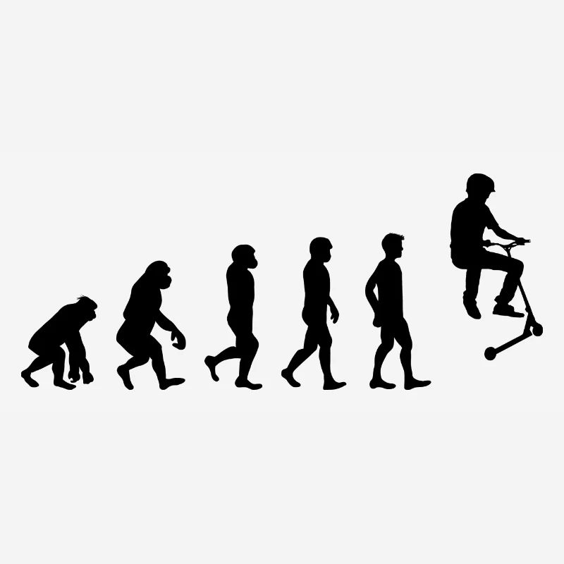 Stunt Scooter Freestyle Scootering Evolution