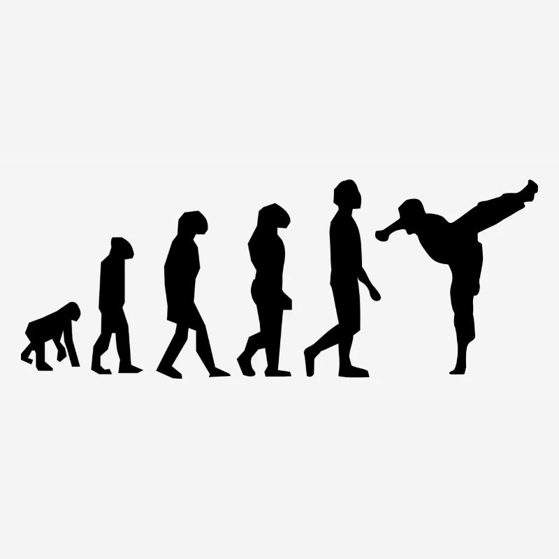 Martial arts evolution