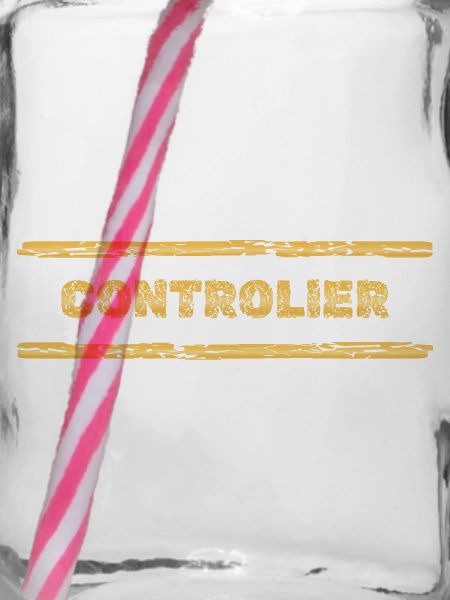 Beruf Controller