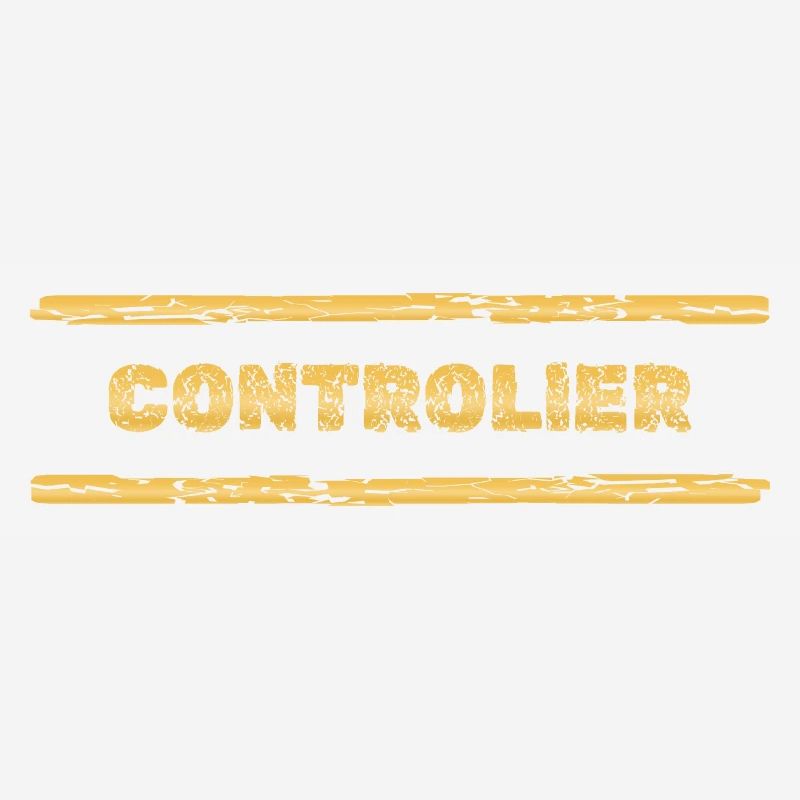 Beruf Controller