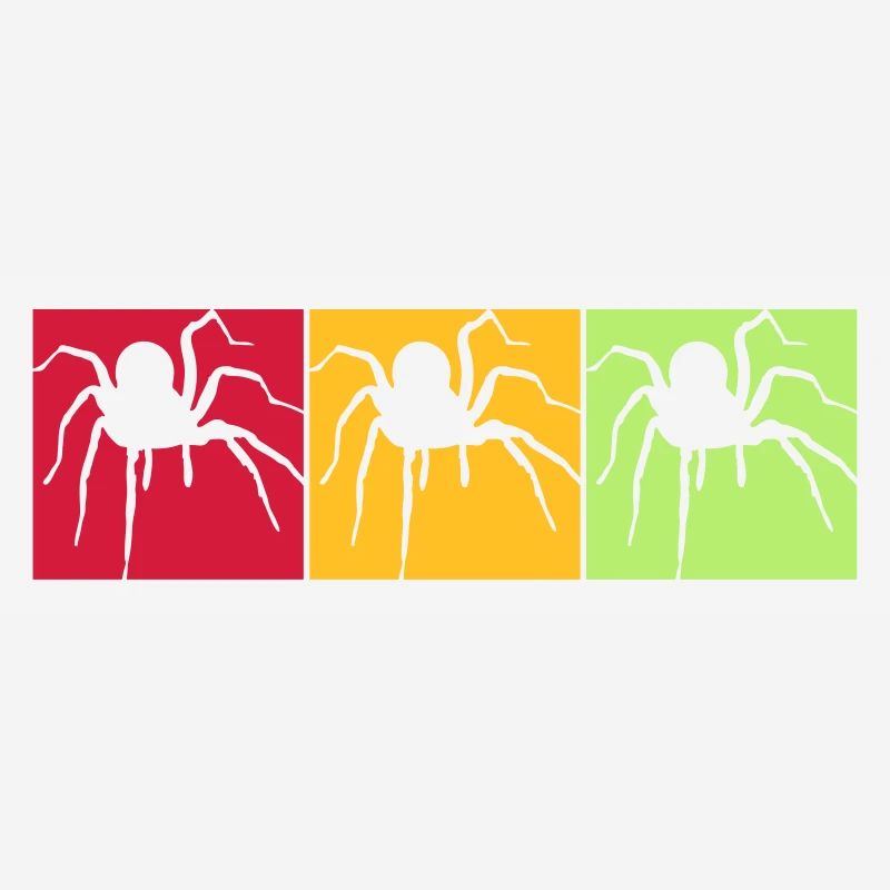 colors squares pattern colorful spider of