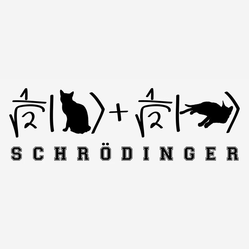 Quantenphysik Schrödinger Katze
