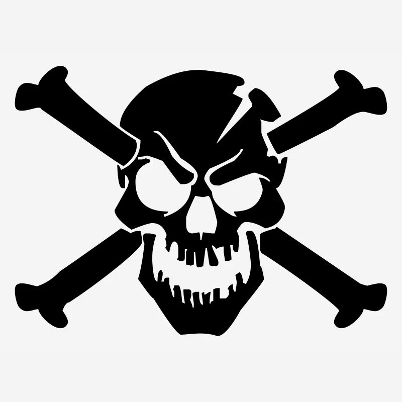 skull bone