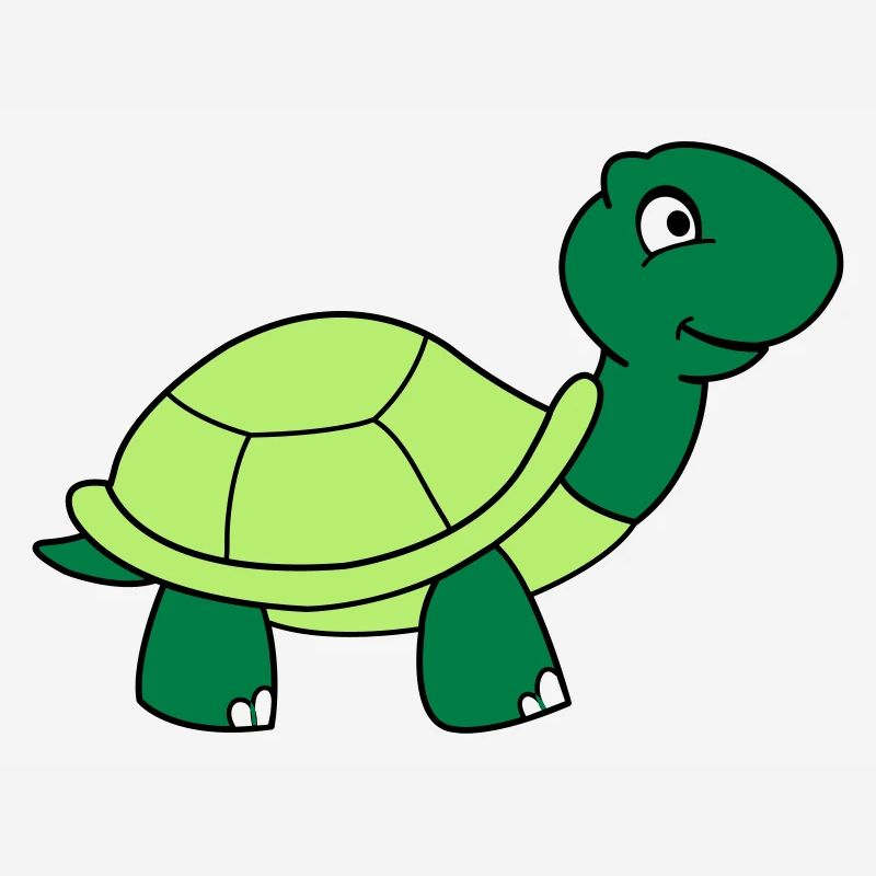schildkroete_002