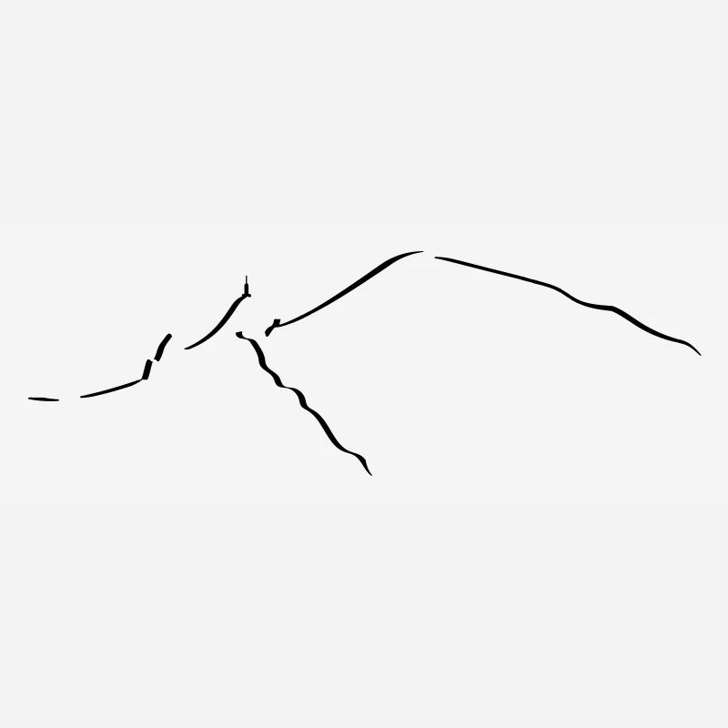Chamonix Mont blanc Leewarddesign