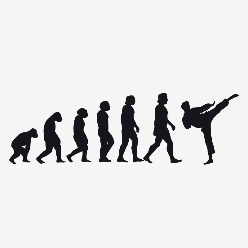 Evolution of Karate
