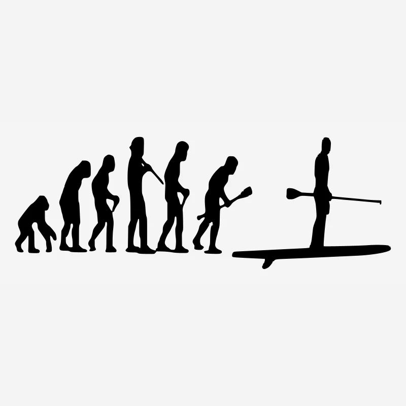 Paddle Evolution