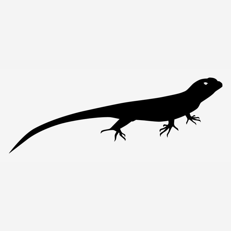 lizard