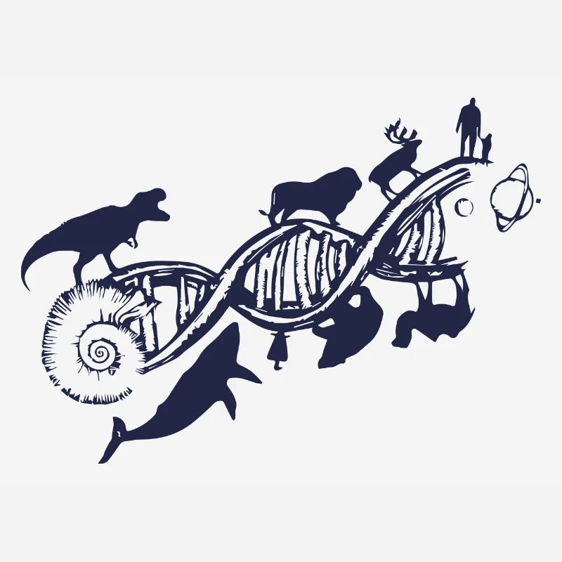 Evolution