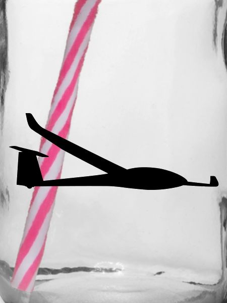 Ls8