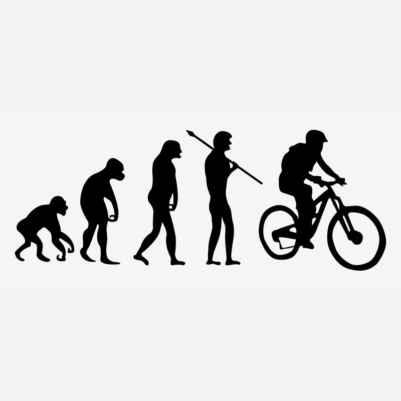 Évolution des motards