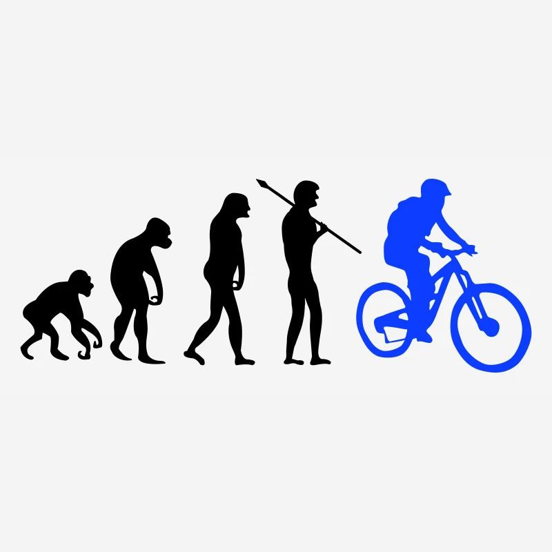 Évolution des motards