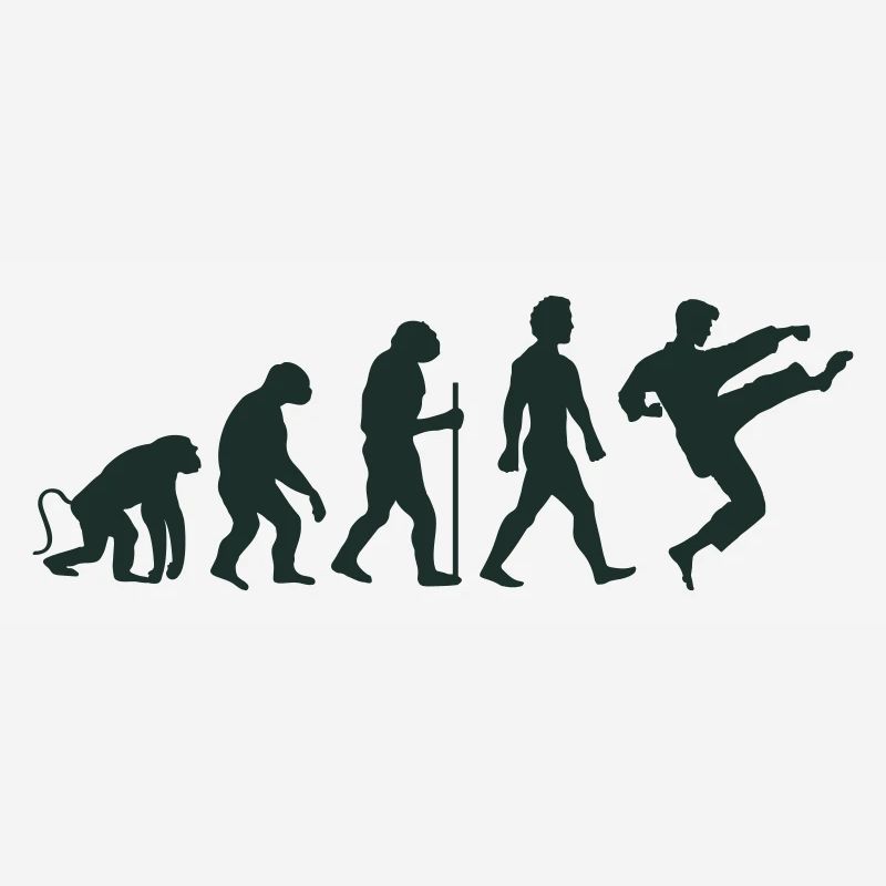 Karaté Évolution