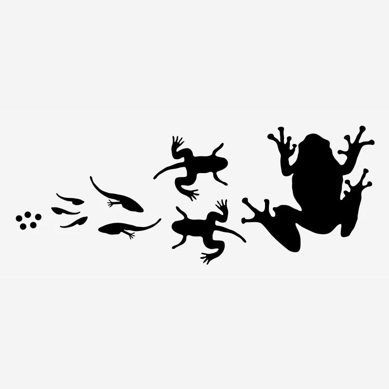 Fröschen_evolution
