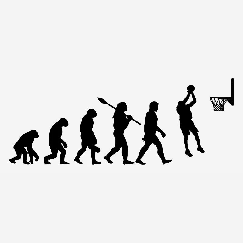 Basket évolution
