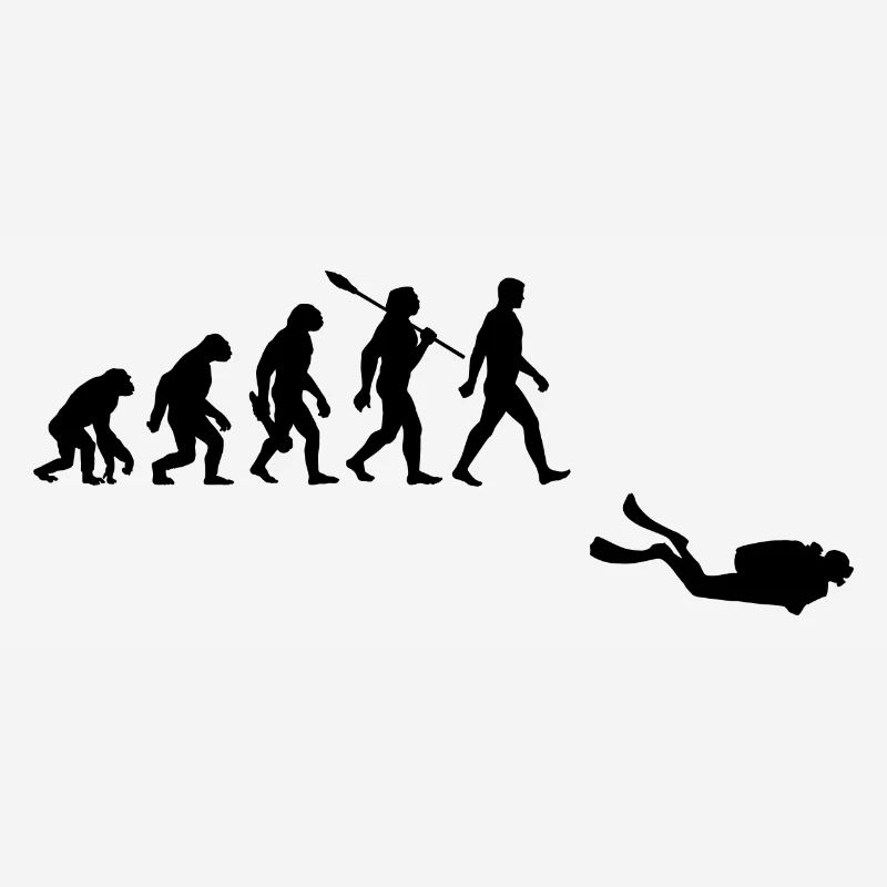 Evolution Tauchen Taucher