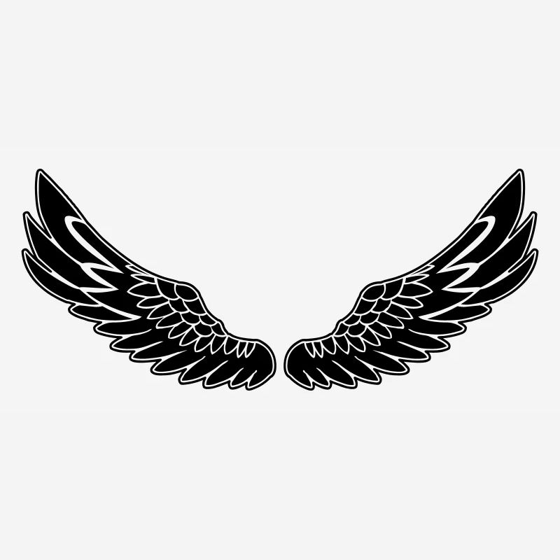 Ailes noir de
