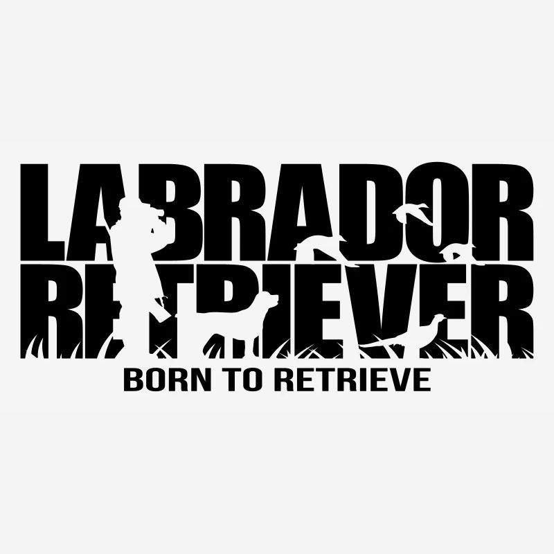 LABRADOR RETRIEVER né pour récupérer