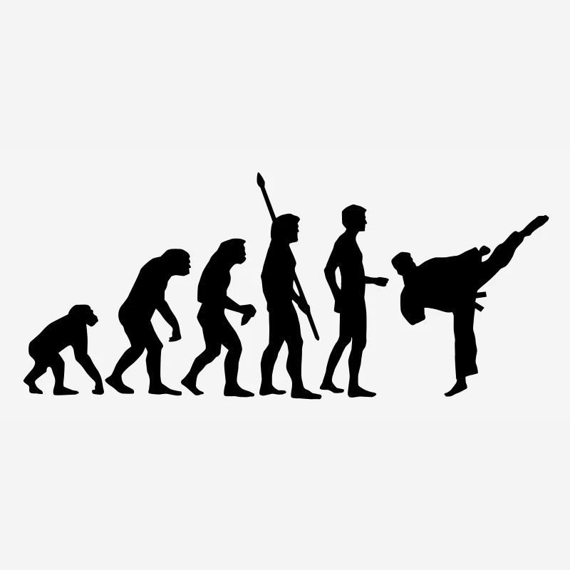 evolution_kampfsport