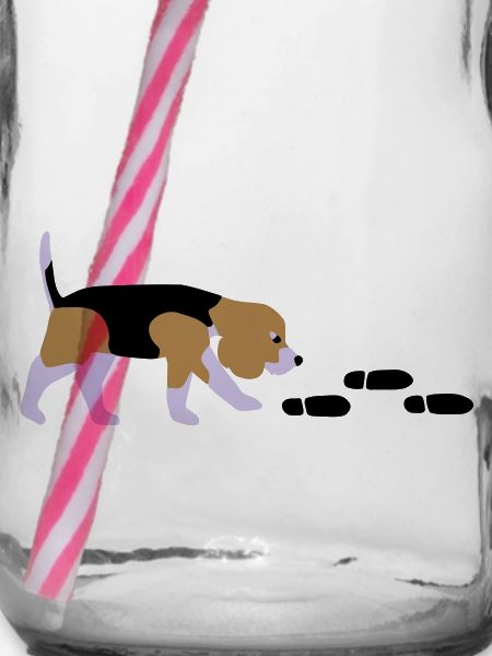 Beagle Mantrailer