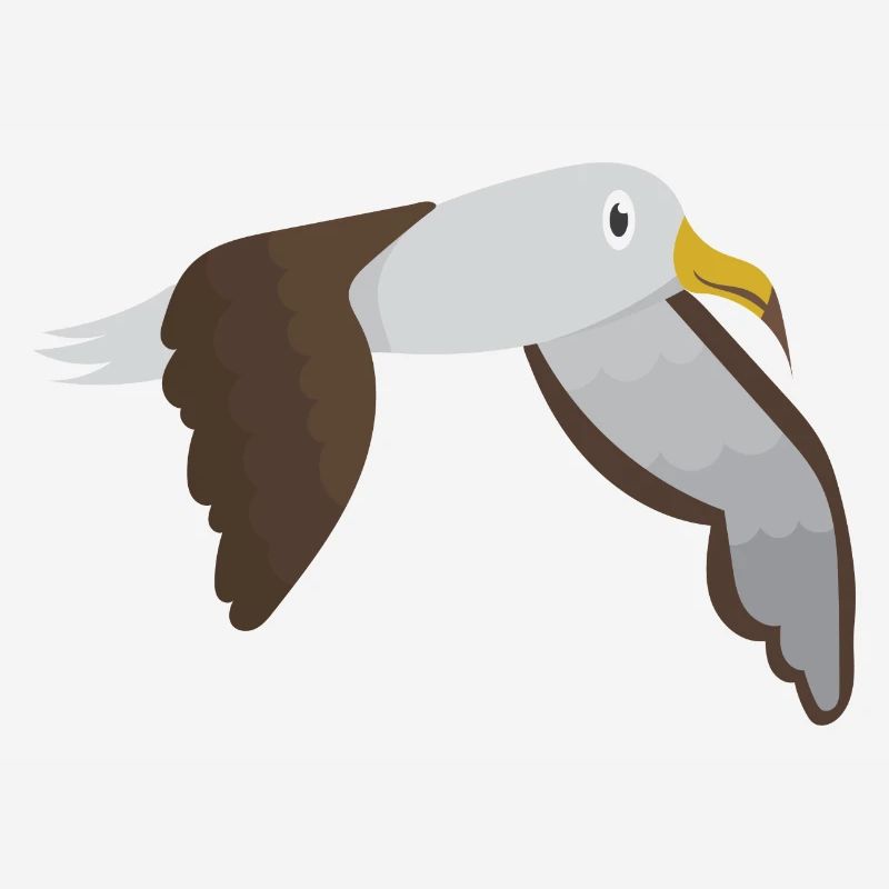 Albatros
