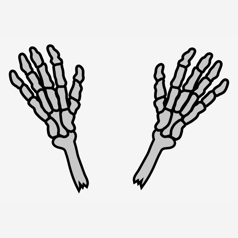 2 Skeleton Hands Bones