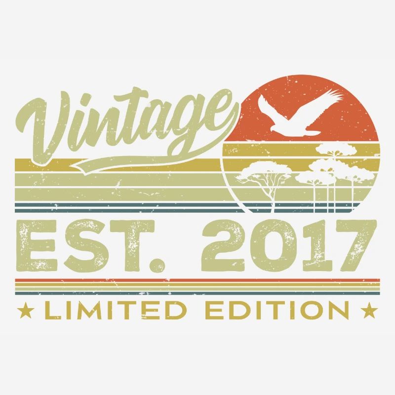 Vintage 2017 Awesome Since 2017 Gift 2017 Retro