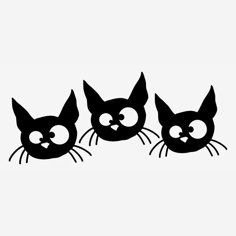 Three Cats Squint Funny 3 Crazy Grimaces