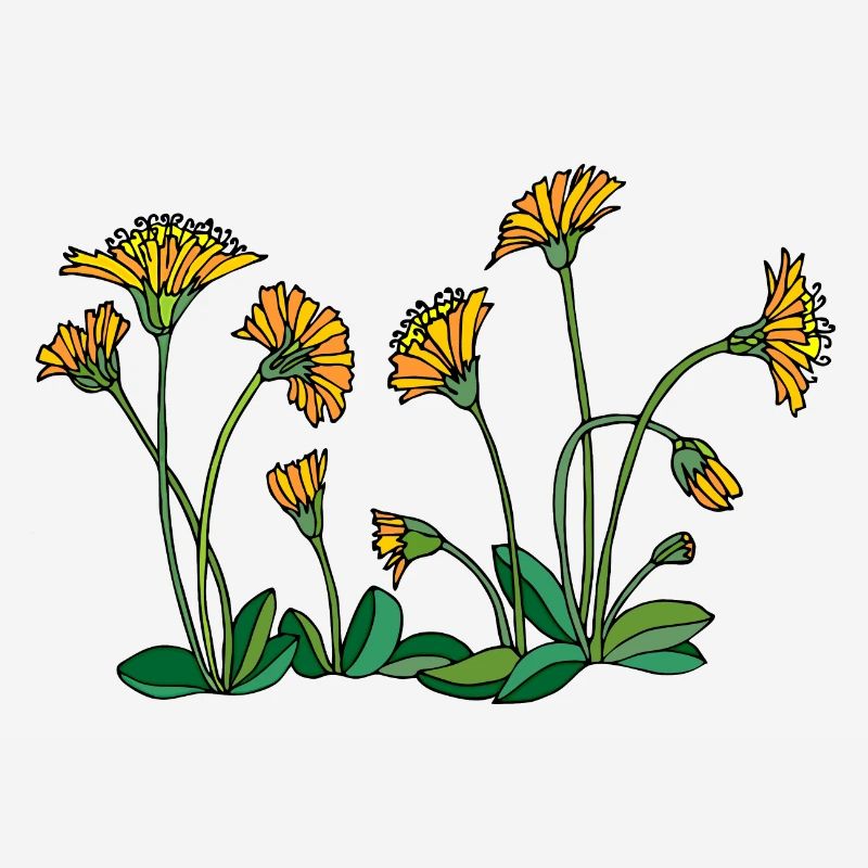 Fleur