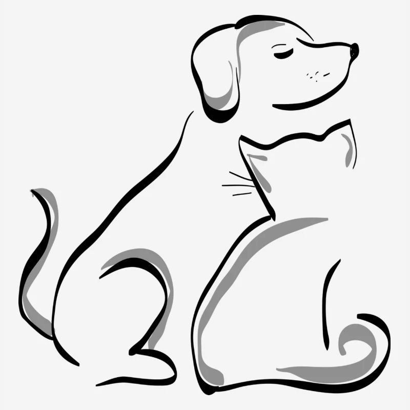 chien chat