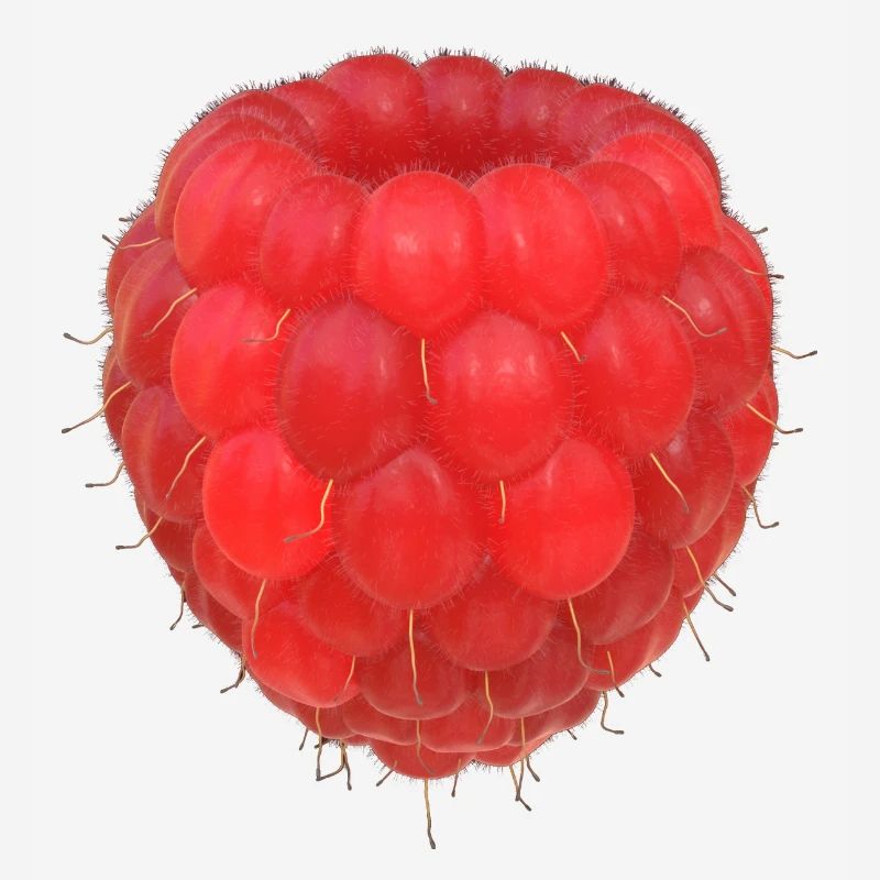 Modèle de grappe de framboises