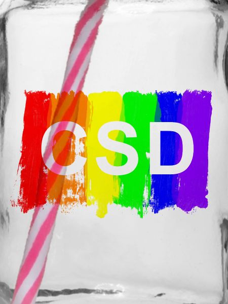CSD Pinsel