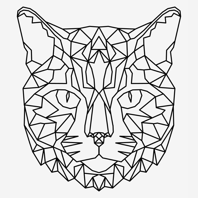 Cat Geometric
