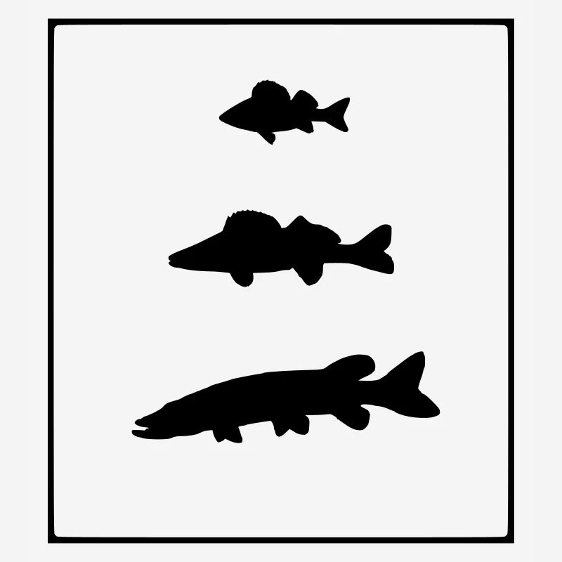 Perche,sandre,brochet