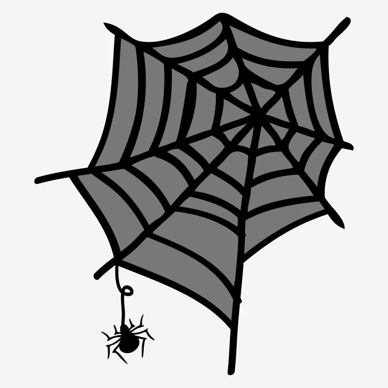 Spider web insect