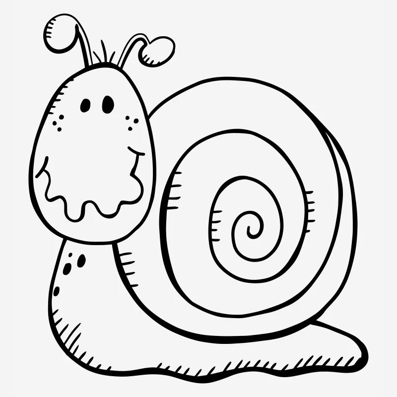 Escargot drôle