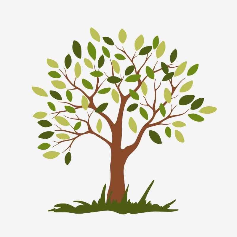 bel arbre vert