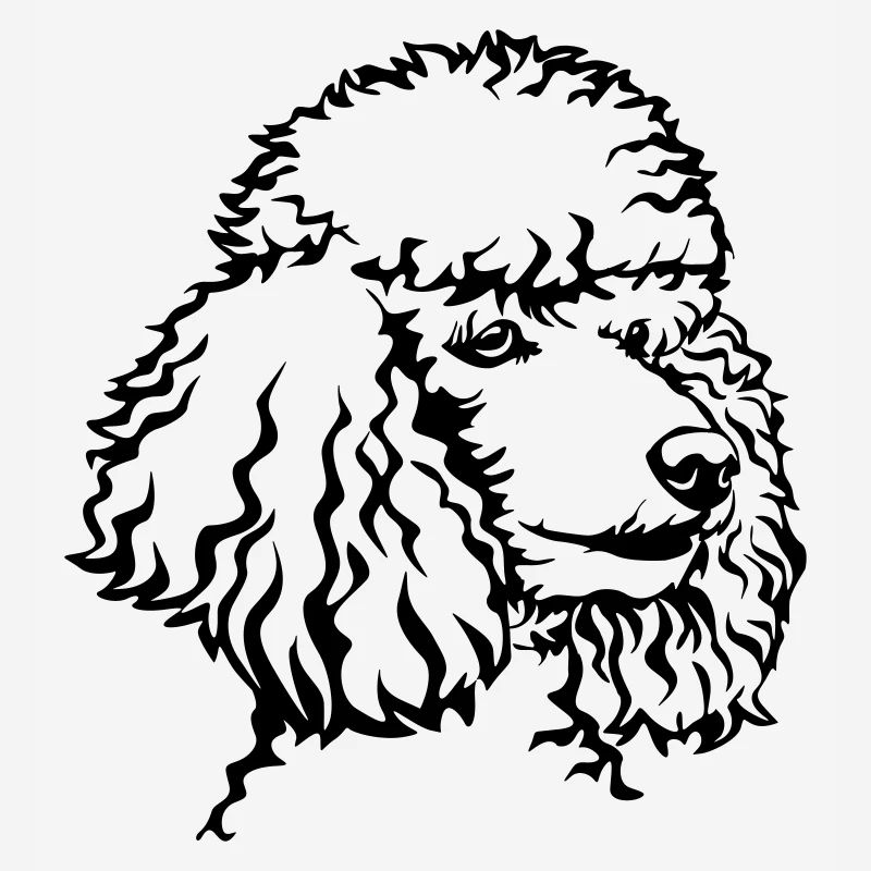 Tête de puiche