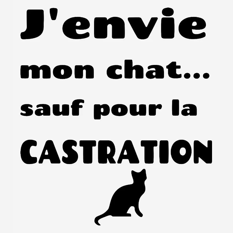 J'envie mon chat