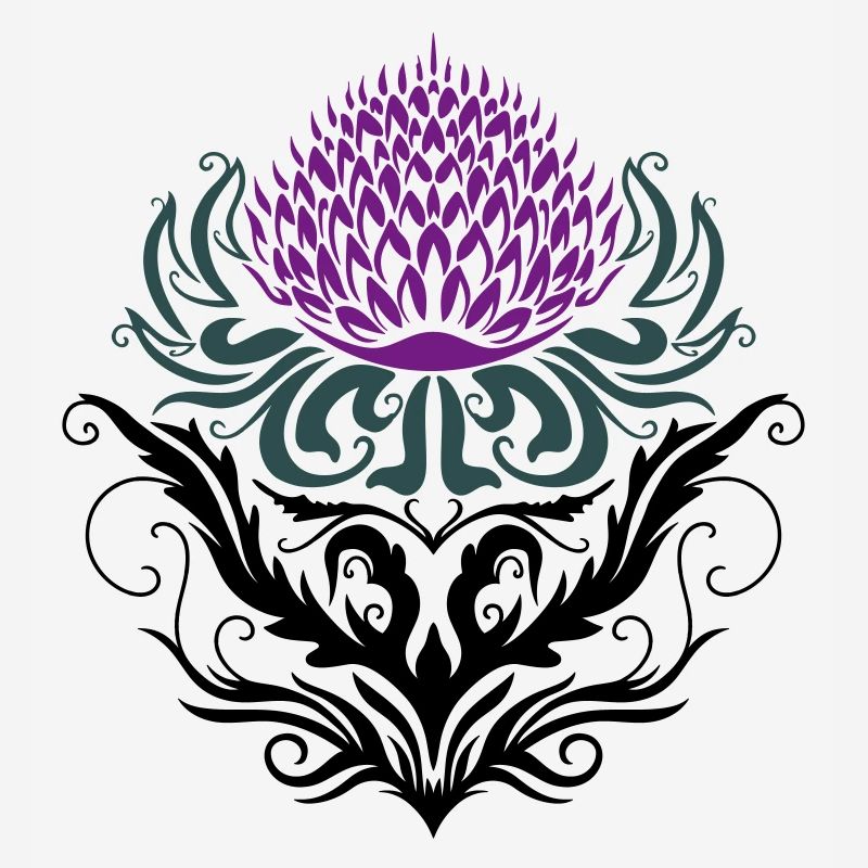 Chardon pourpre Chardon