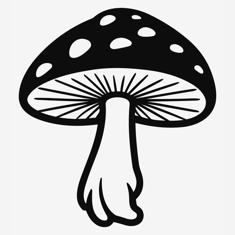 champignon