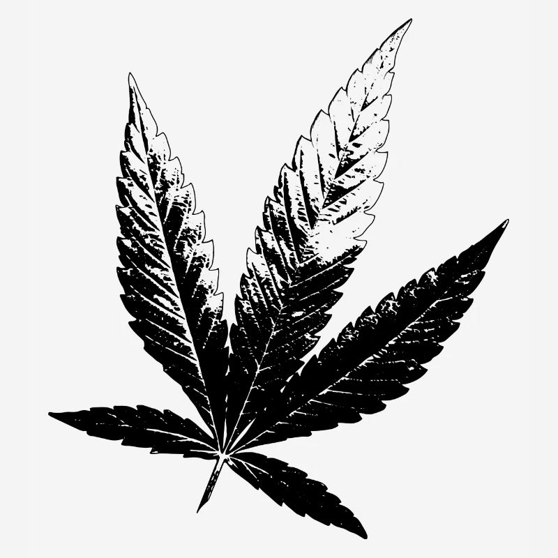Cannabis Hanf Blatt