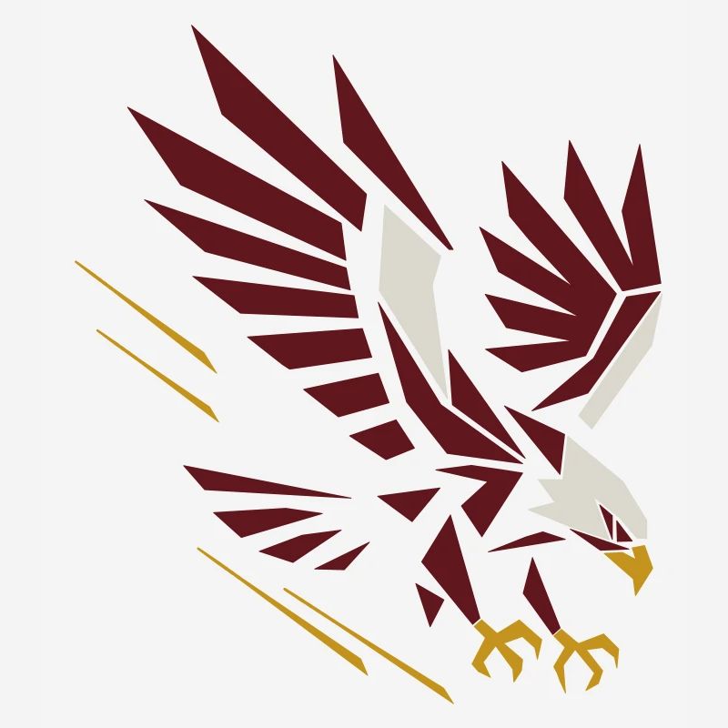 Geometric Eagle on Attack