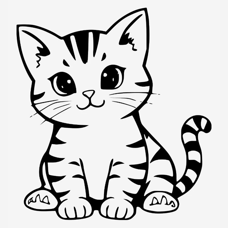 Cadeau de Noël Chat chaton Chat