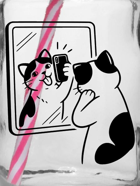 Katze Spiegel Selfie