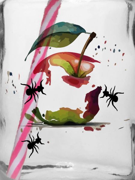  Apfel