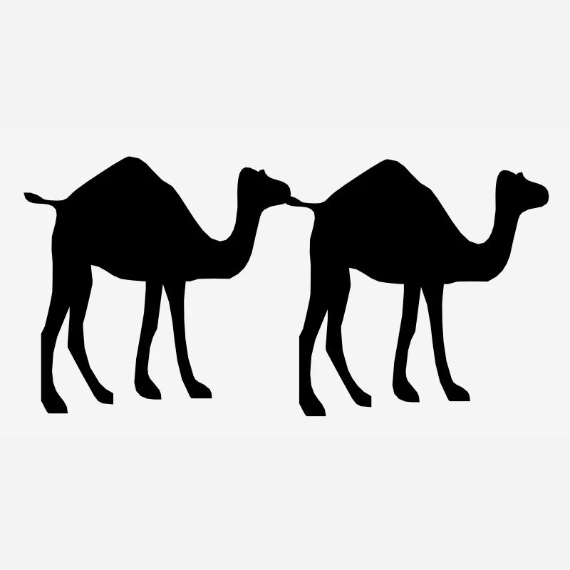 Camel