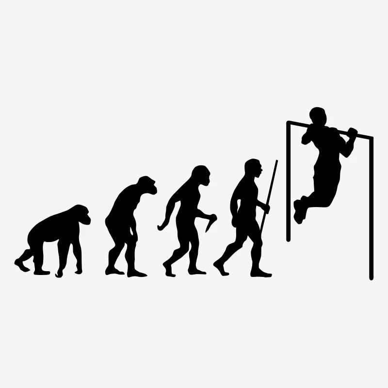 Evolution Pull Up