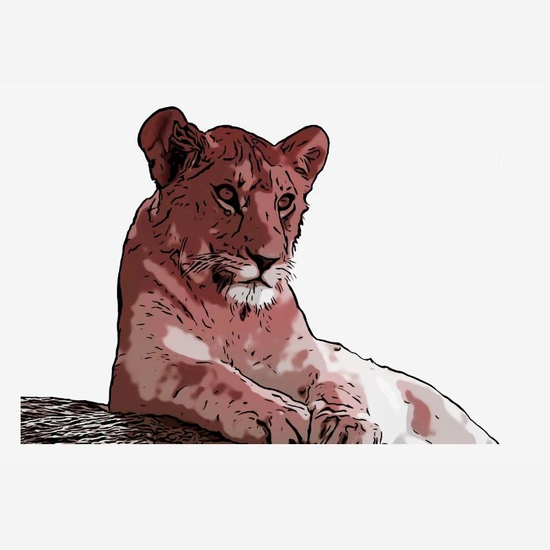 Junger Löwe